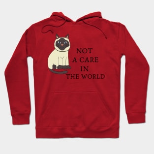 Not A Care In The World Hoodie